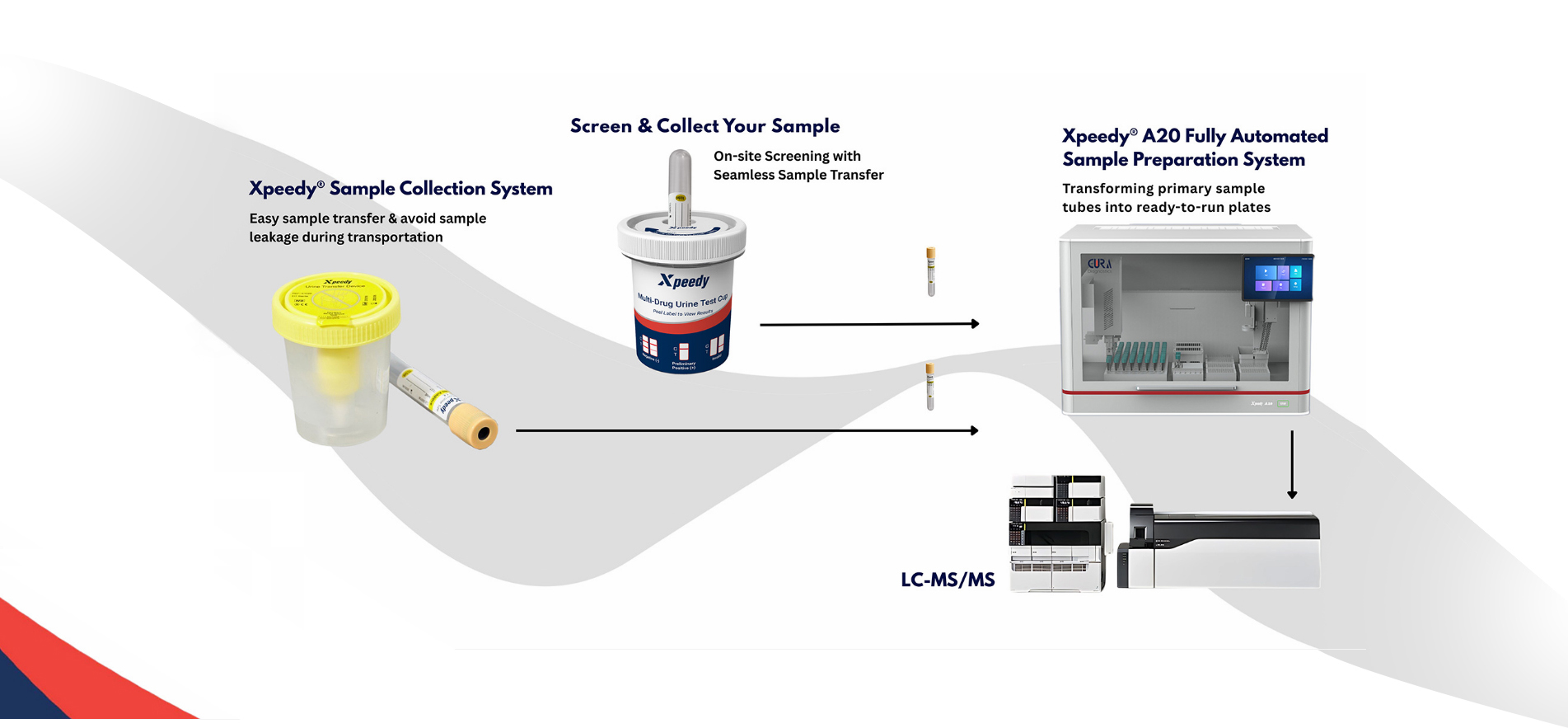 Urine_-Cura-Diagnostics_02.jpg